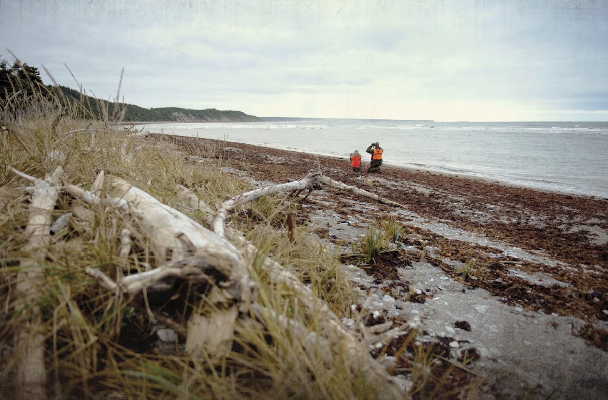 Sépaq Anticosti