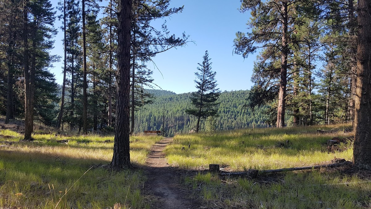 Johnstone Creek Provincial Park