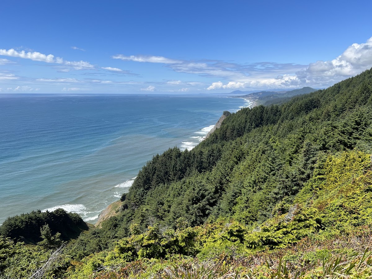 Cape Sebastian State Scenic Corridor