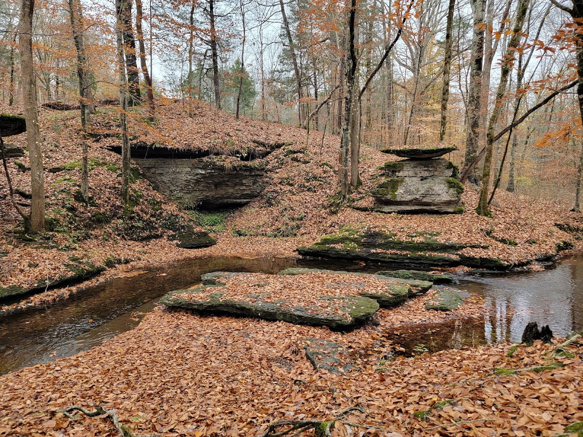 Glenrock Branch