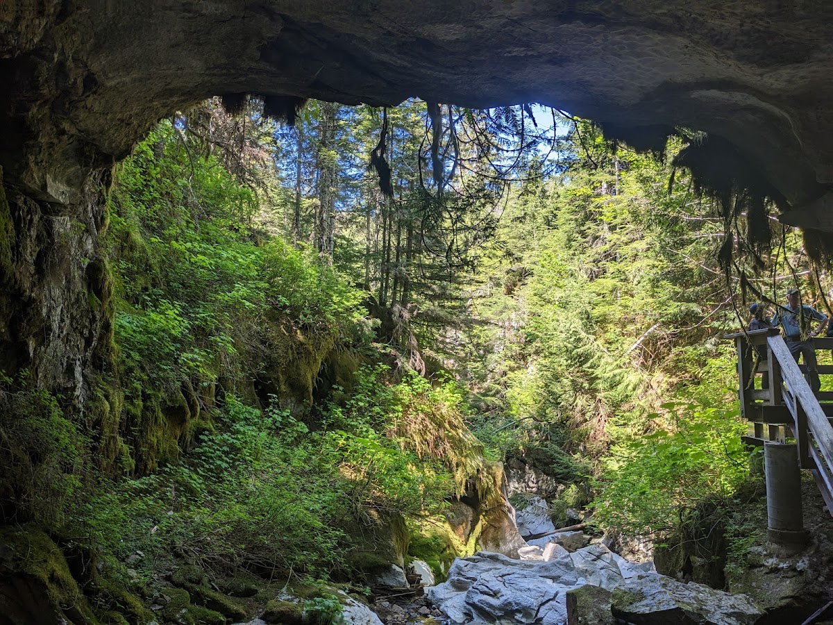 Upana Caves Interpretive Forest Site Path Entrance