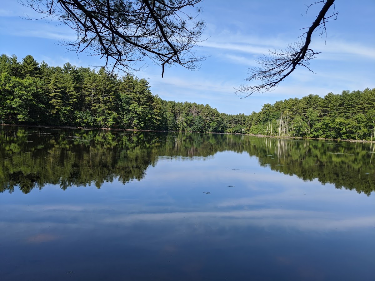 Harold Parker State Forest