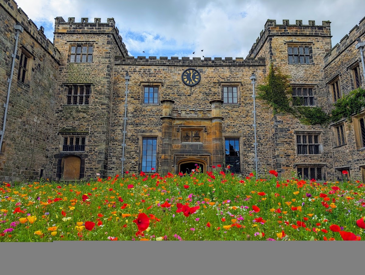 Towneley Hall Museum & Art Gallery
