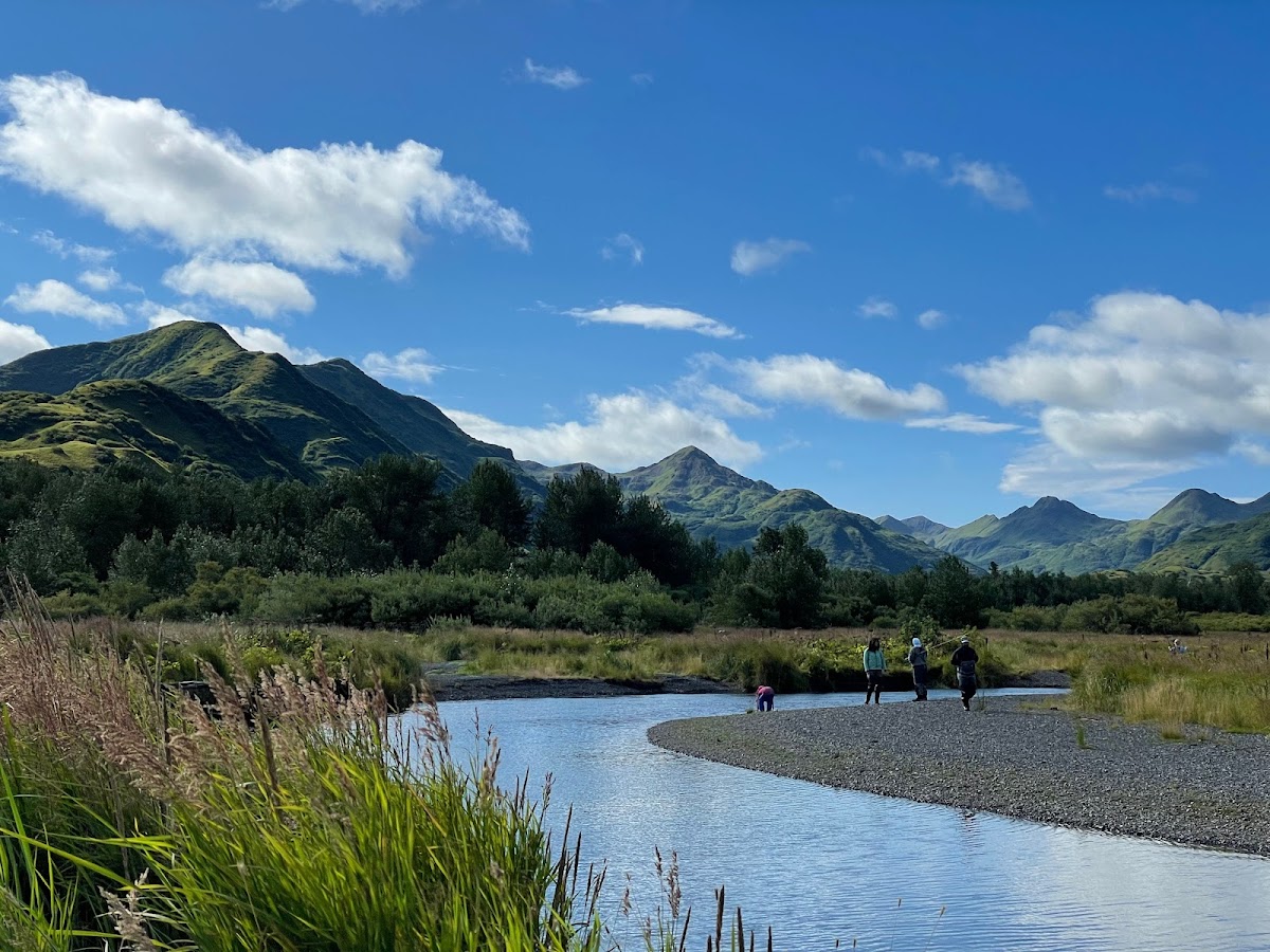 Kodiak Wilderness Lodge photo 2