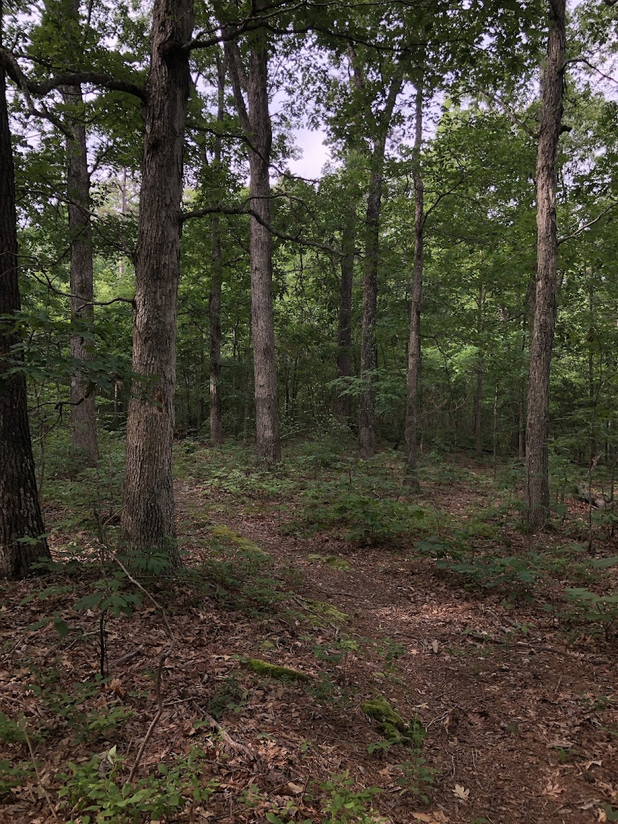 Rockpile Mountain Wilderness Trailhead