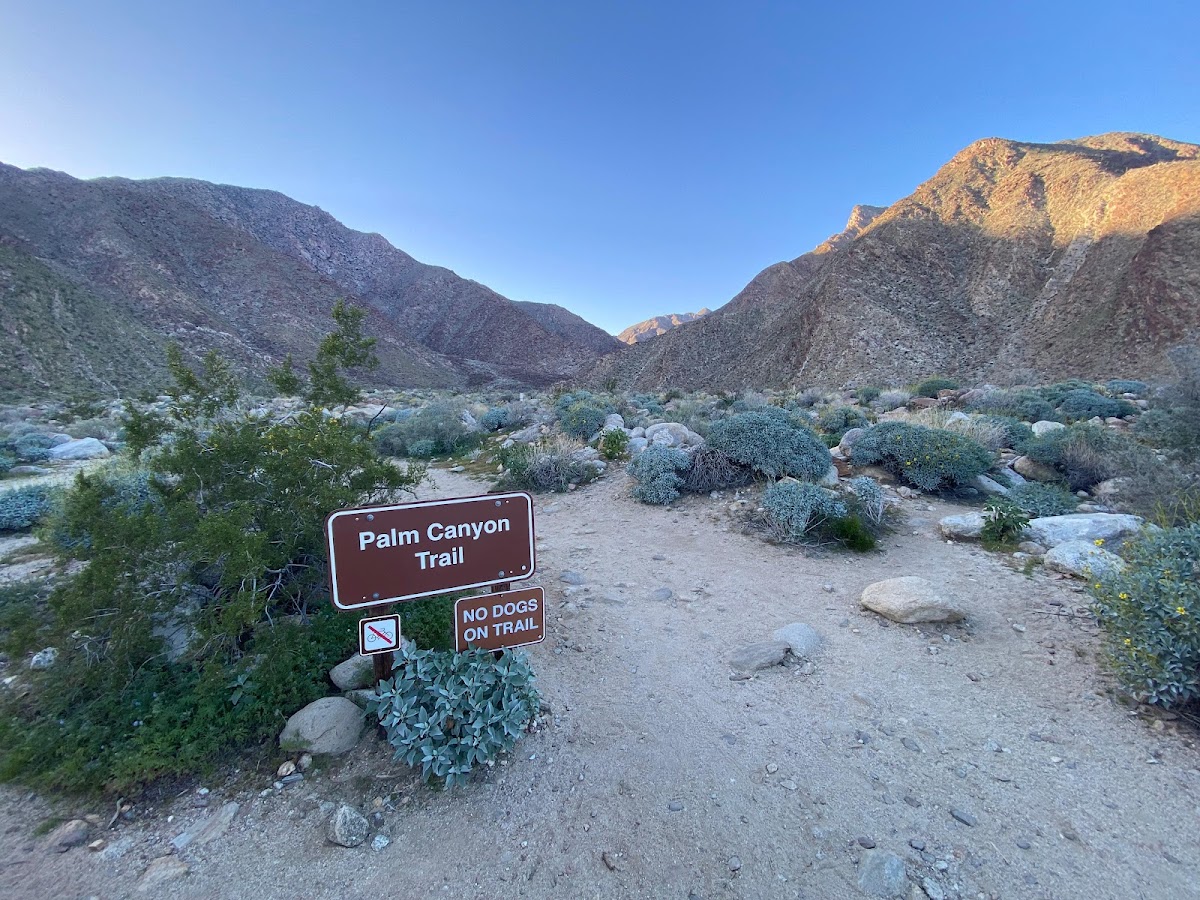 Borrego Palm Canyon Trailhead