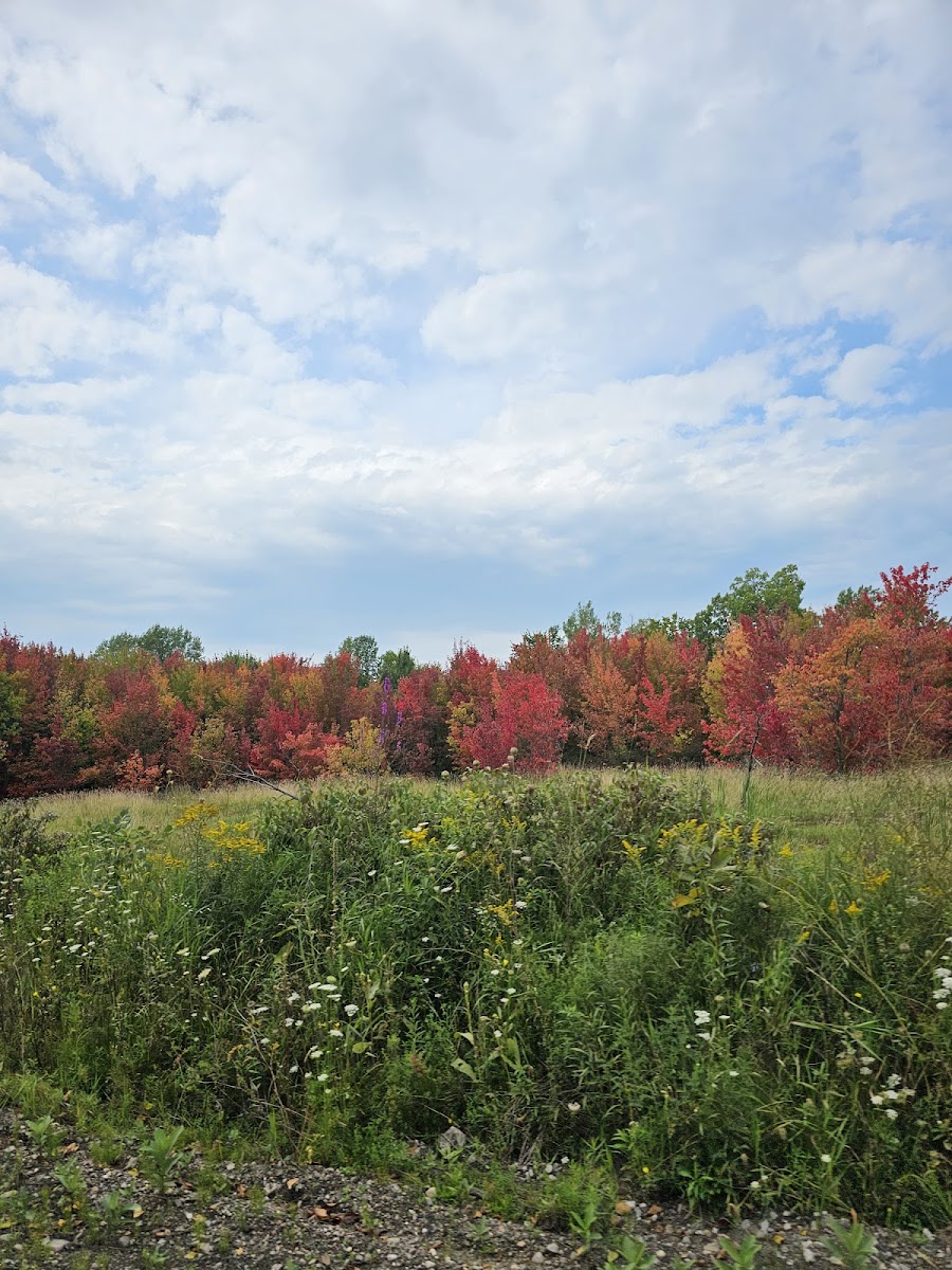 Eastern Ontario Trails