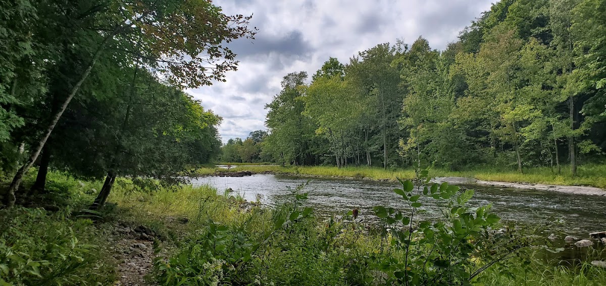 Moira River