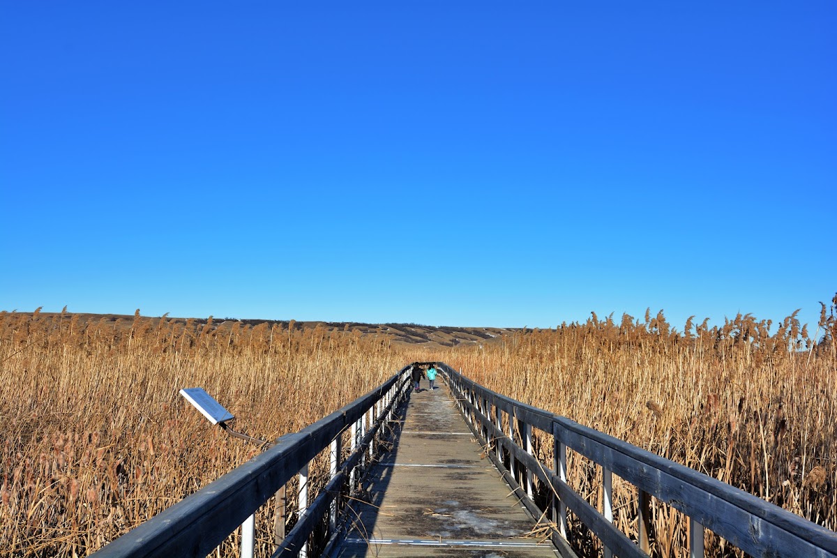 Nicolle Flats Interpretive Area