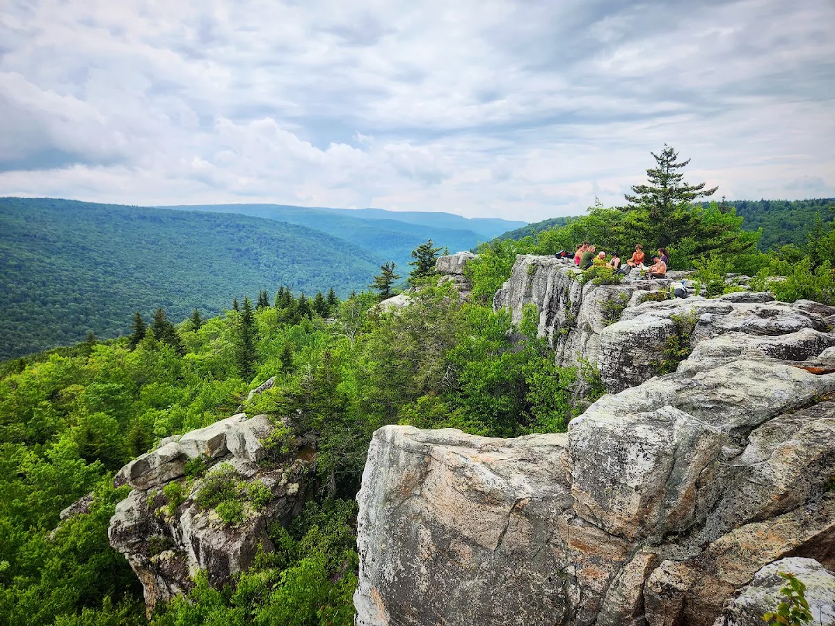Dolly Sods Wilderness