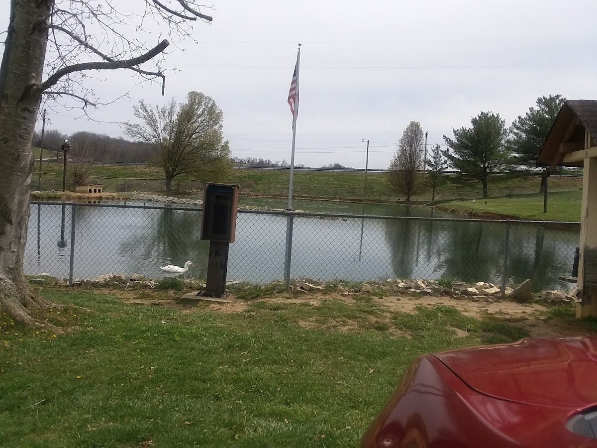 Bowling Park