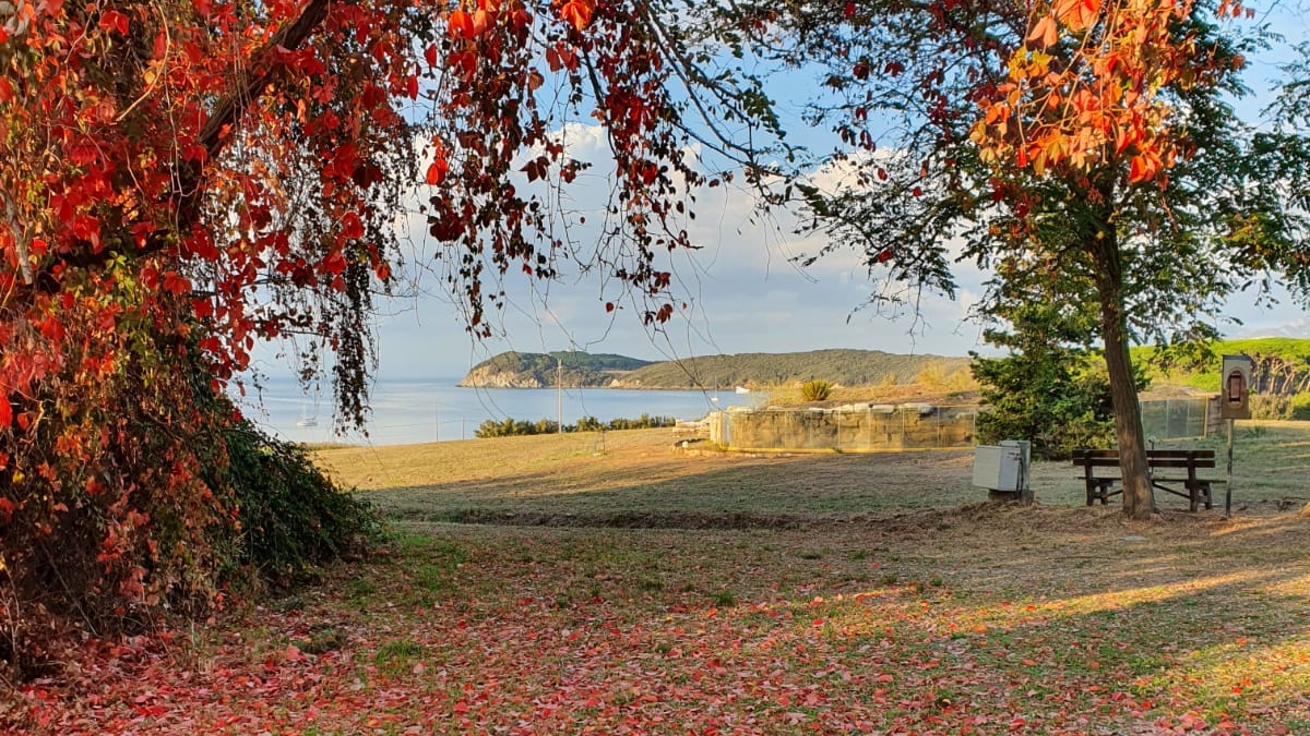 Baratti and Populonia Archaeological Park