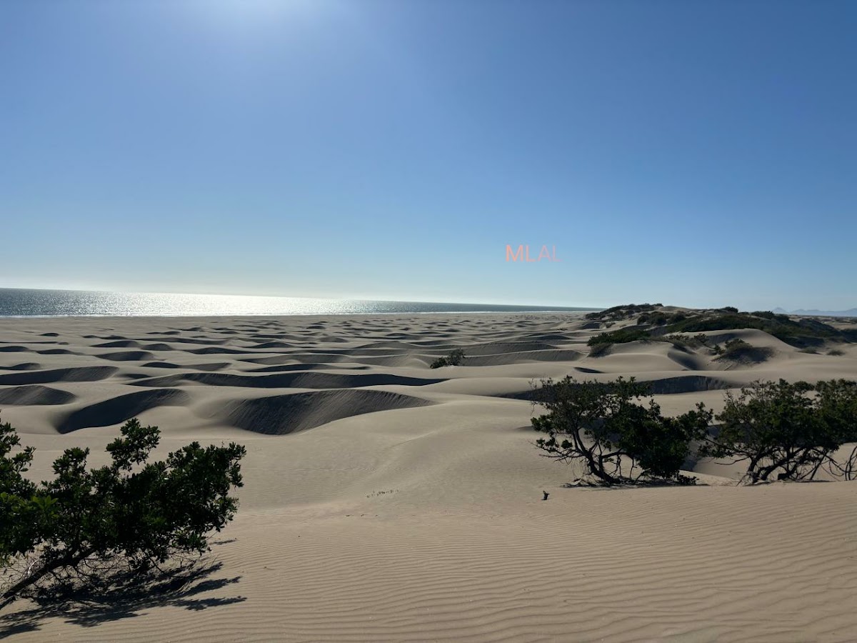 Isla Macapule