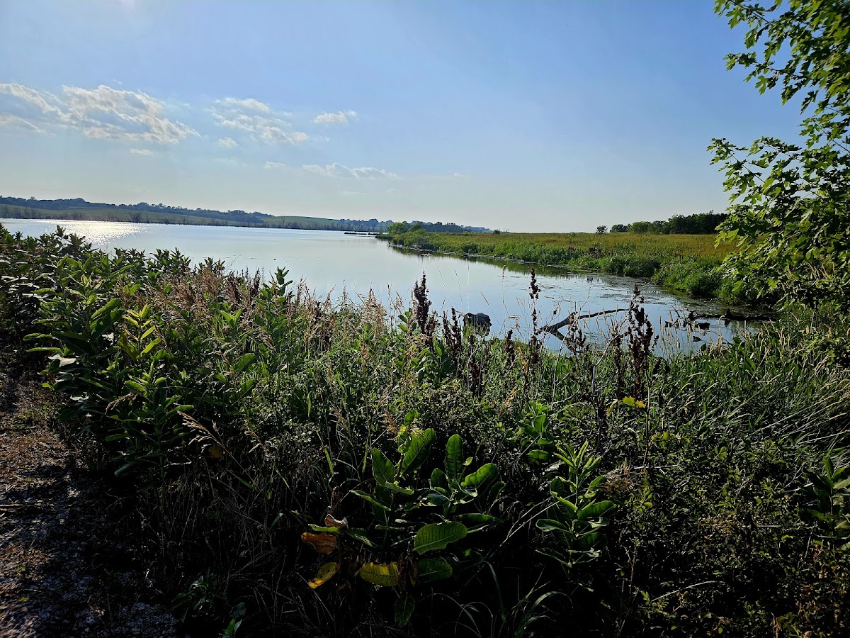 Lake Wanahoo