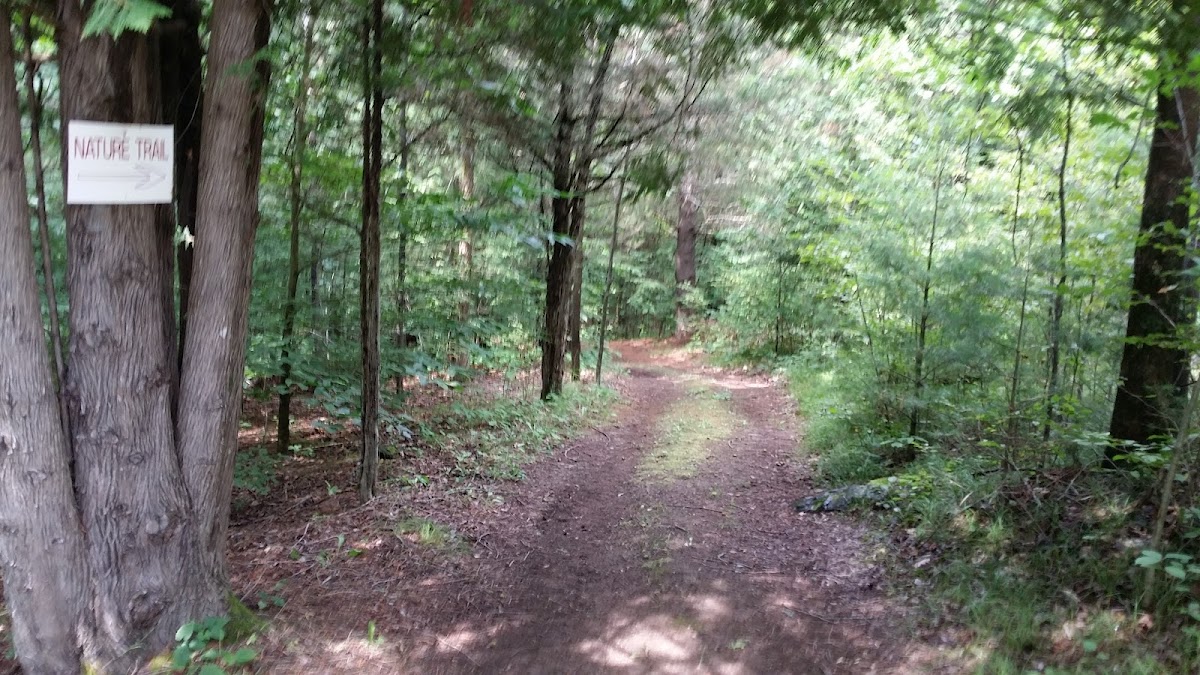 Lester B. Pearson Peace Park