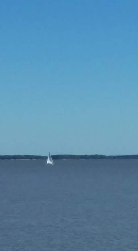Hickory Shores Resort photo 3