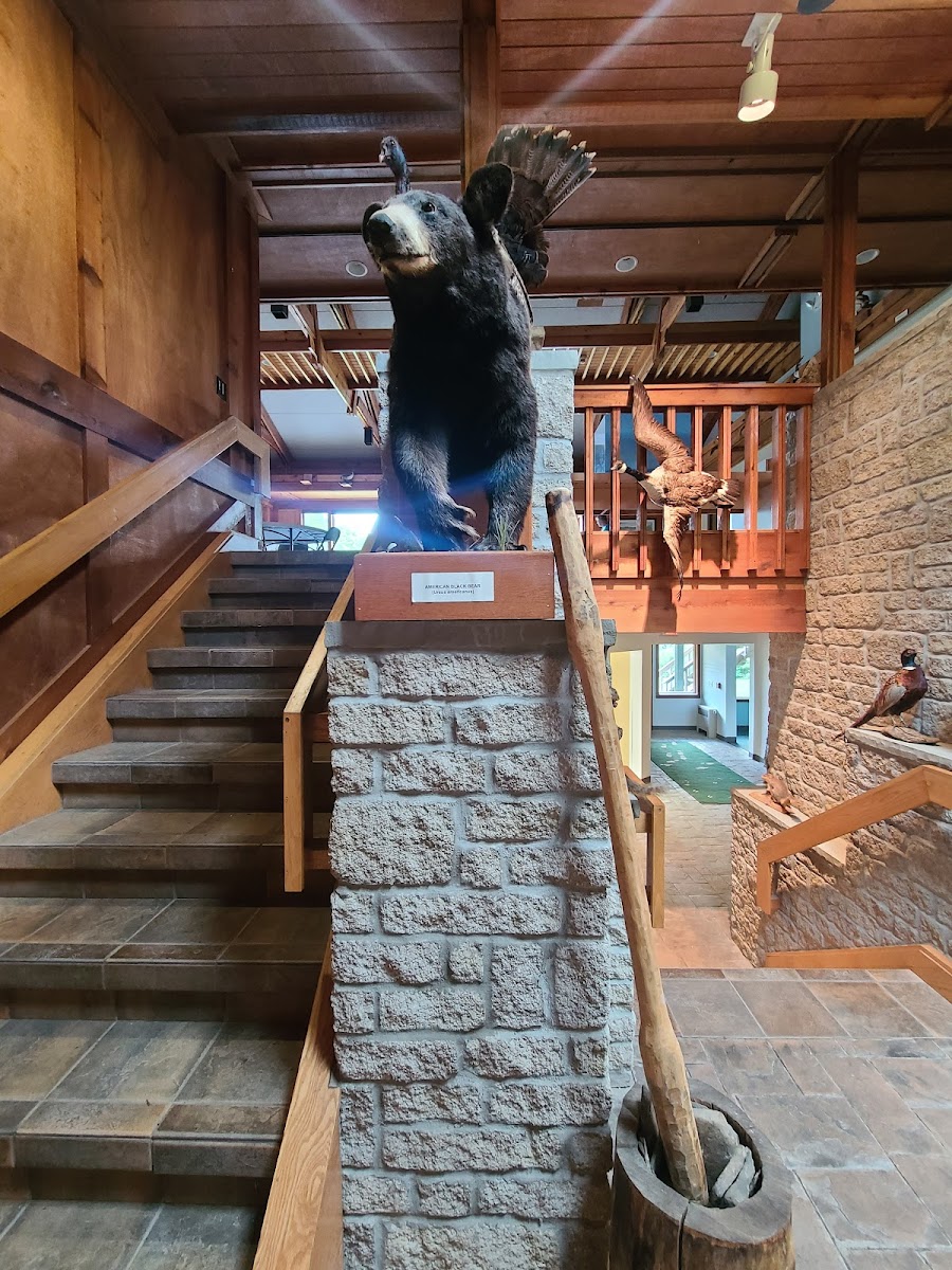 Trillium Nature Center / Buffalo Audubon Society