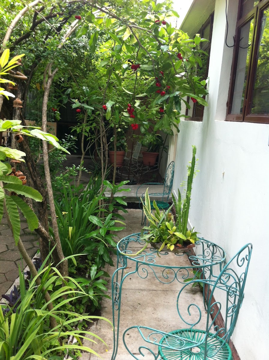 Jardin Las Palmas photo 2