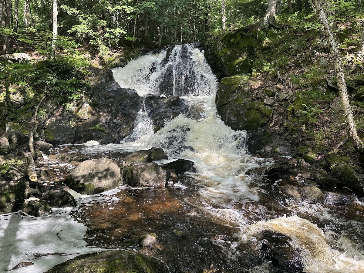 Wyandotte Falls