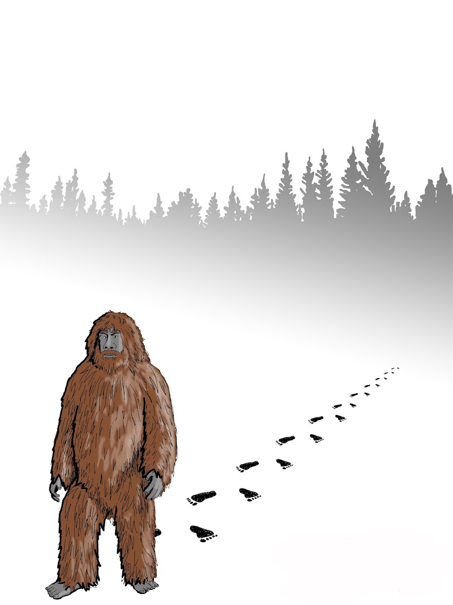International Cryptozoology Museum