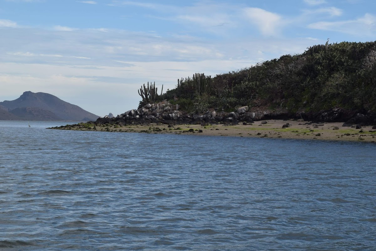Bahía de Topolobampo