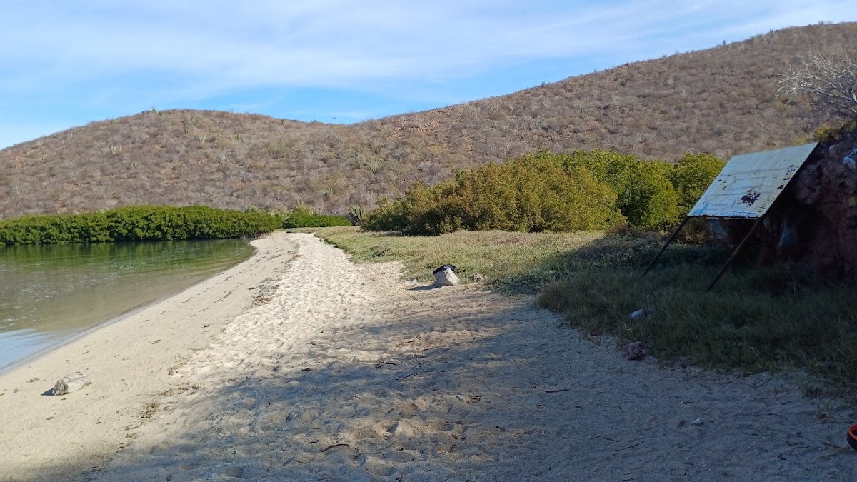 Playa Las Hamacas