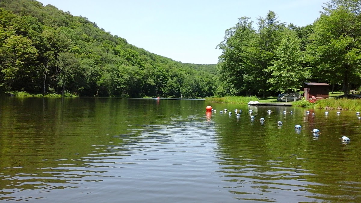 Bear Spring Mountain Wildlife Management Area