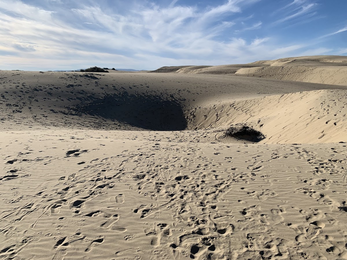 Guadalupe-Nipomo Dunes