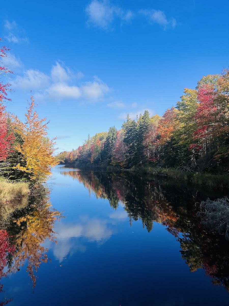 Mooney's Pond