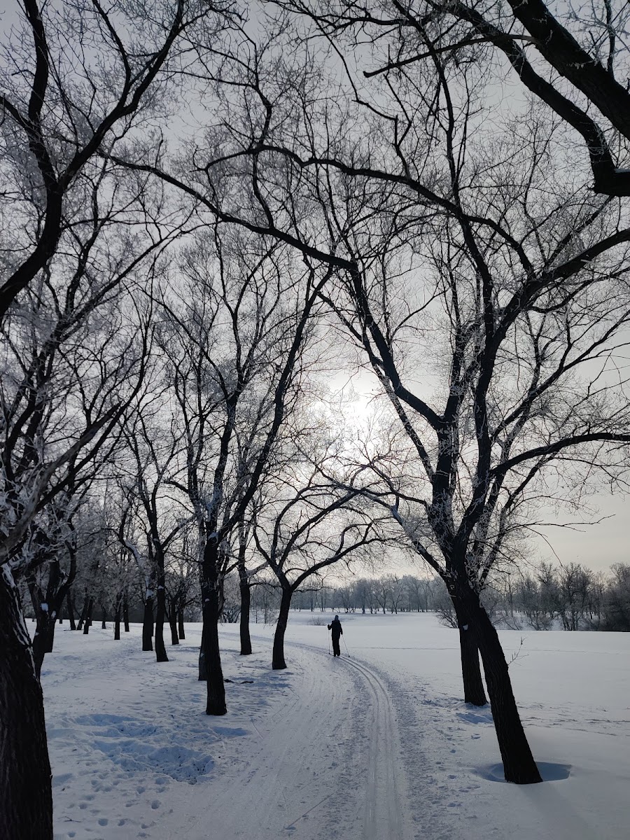 Windsor Park Nordic Centre photo 3