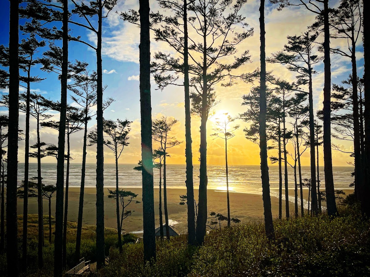 Seabrook Beach