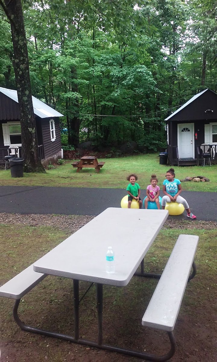 The Lake George Bear's Den photo 3