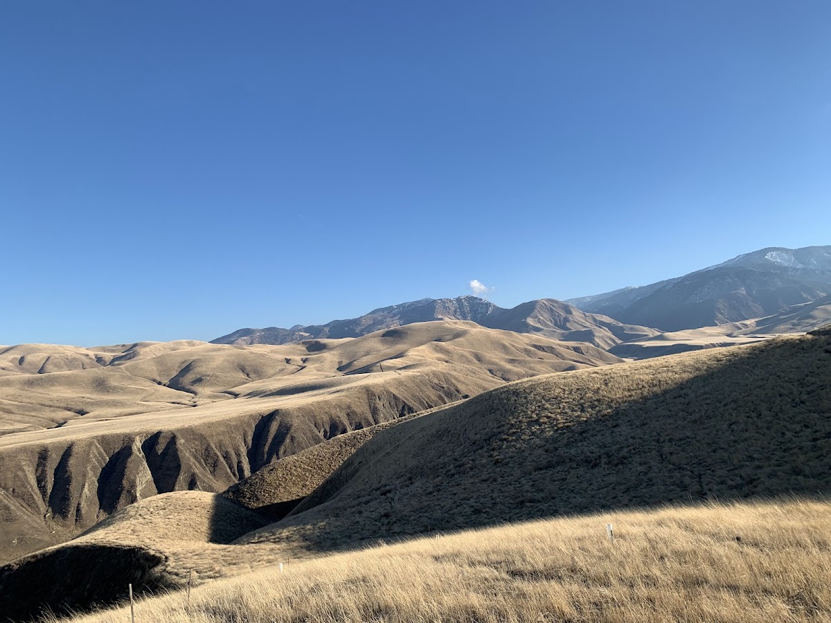 Wind Wolves Preserve
