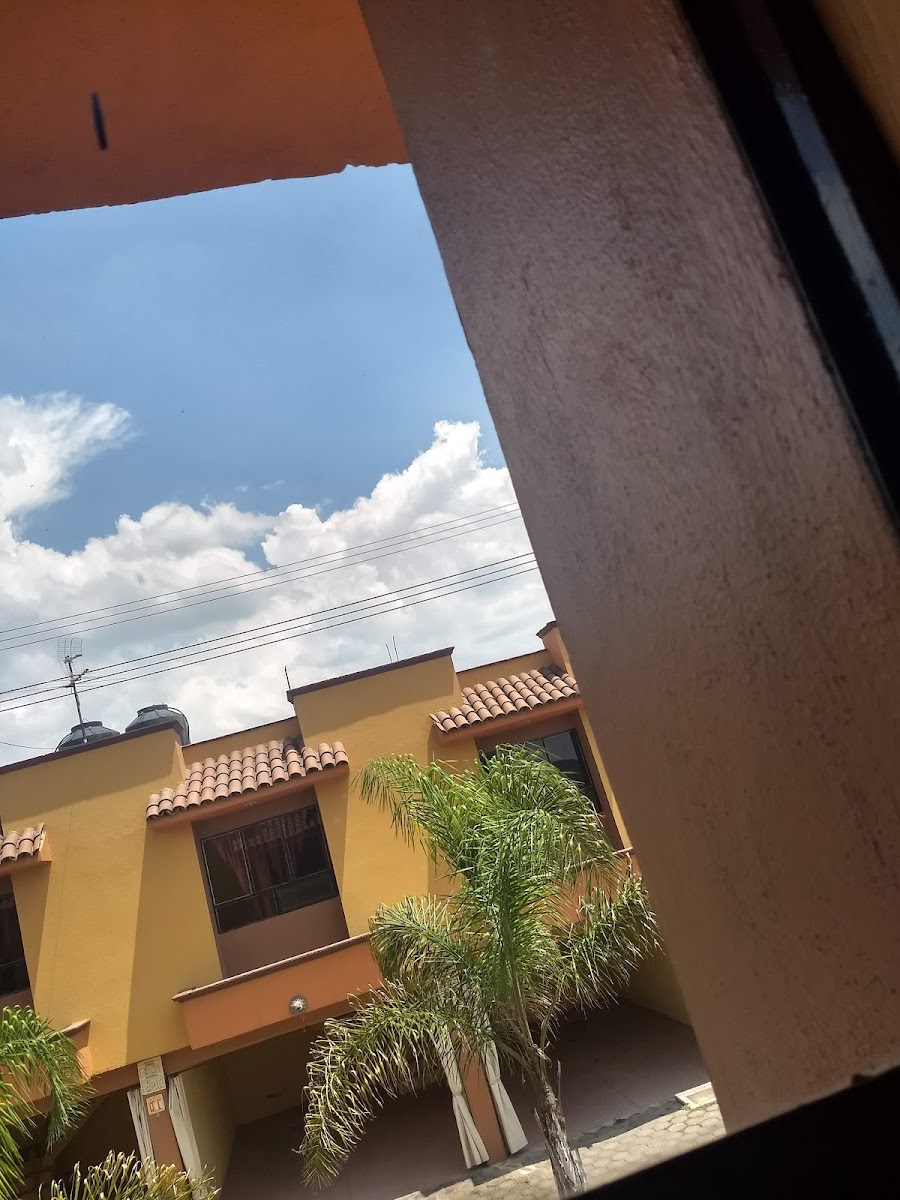 HOTEL ZIHUA photo 3