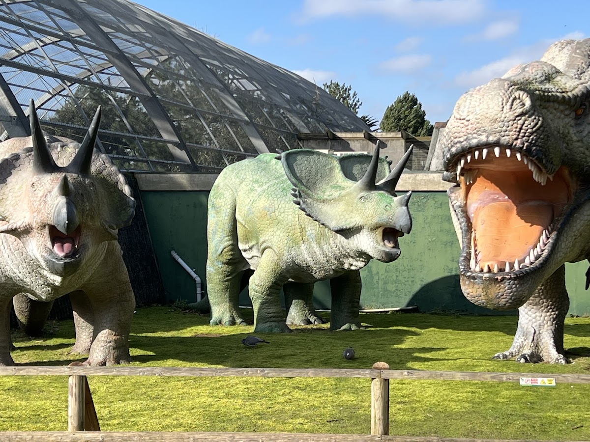 Blackpool Zoo