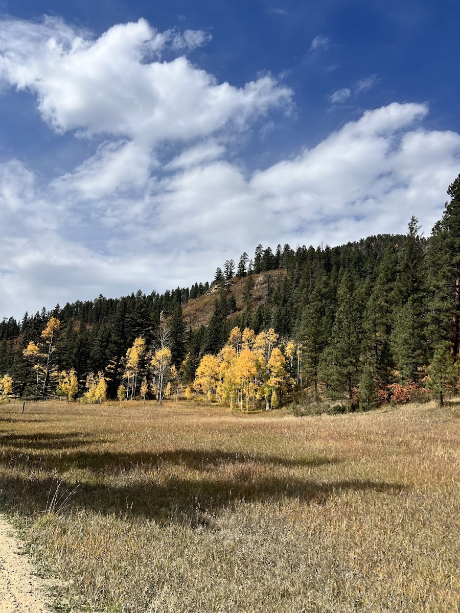 La Junta Canyon