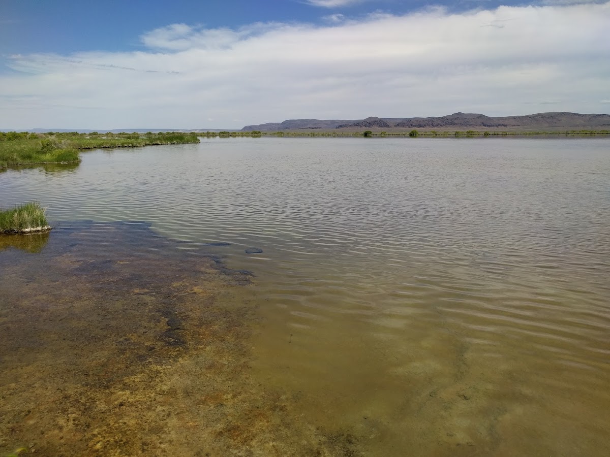 Borax Lake