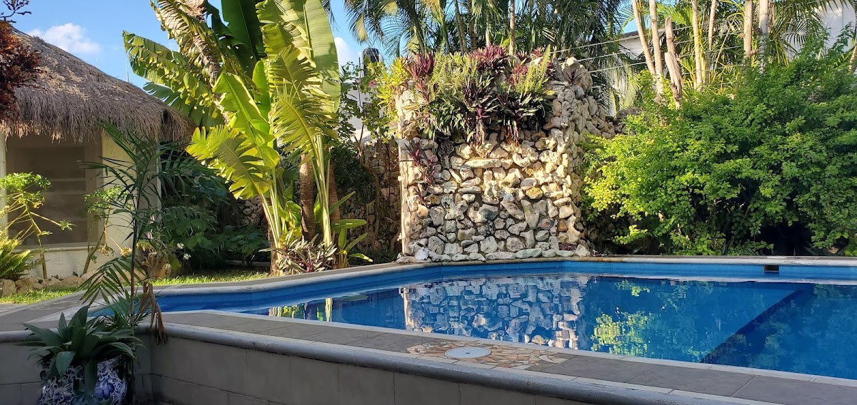 Baldwin's Guest House Cozumel photo 3