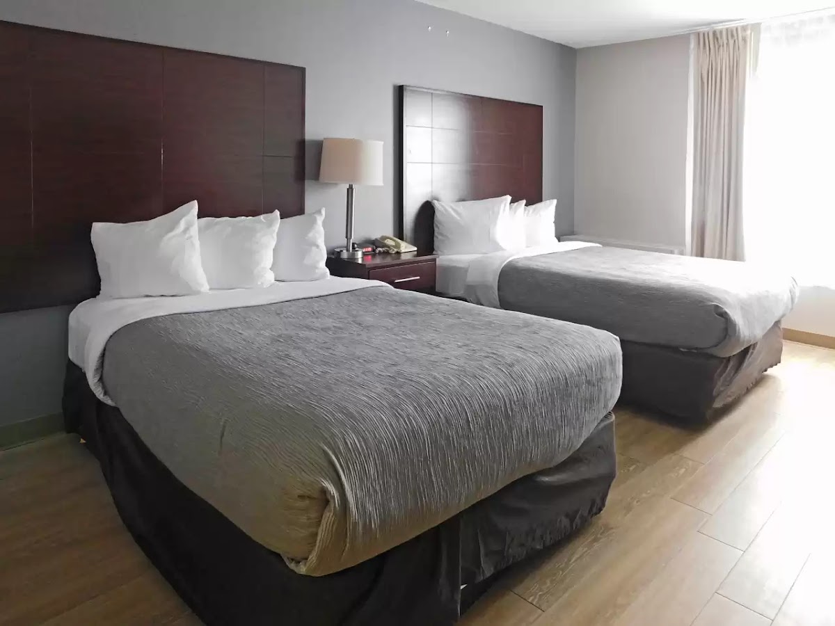 Quality Inn Colchester - Burlington photo 2