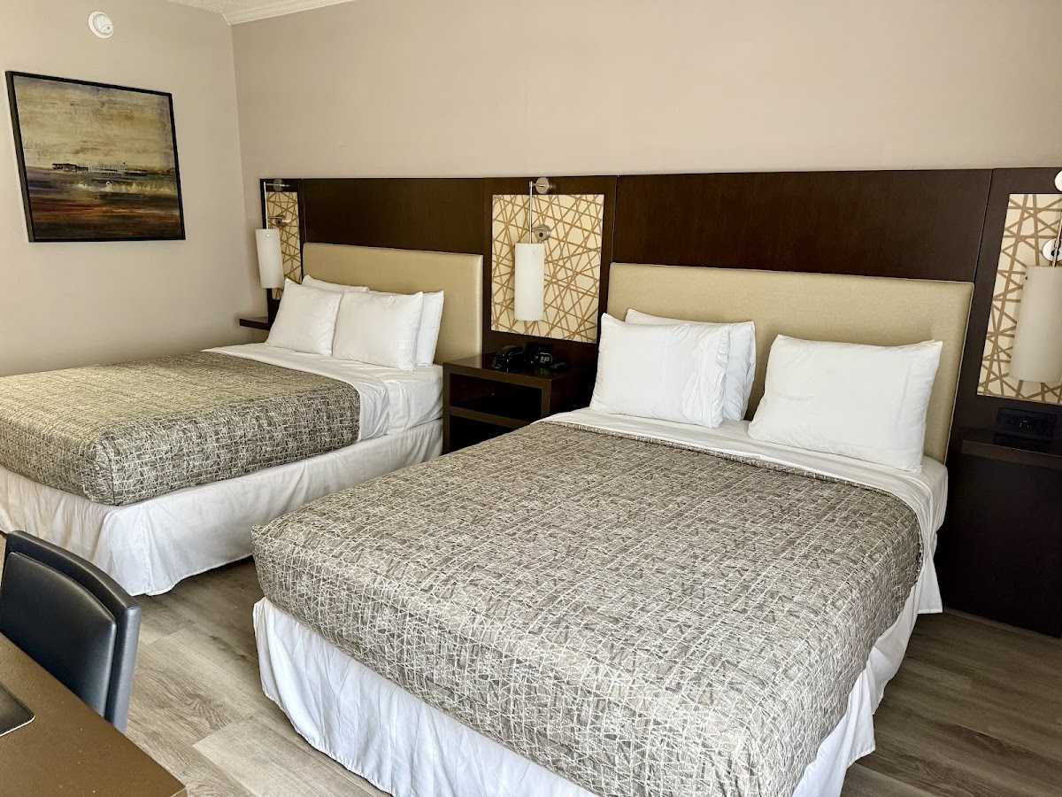 Coastal Comfort Hotel photo 3
