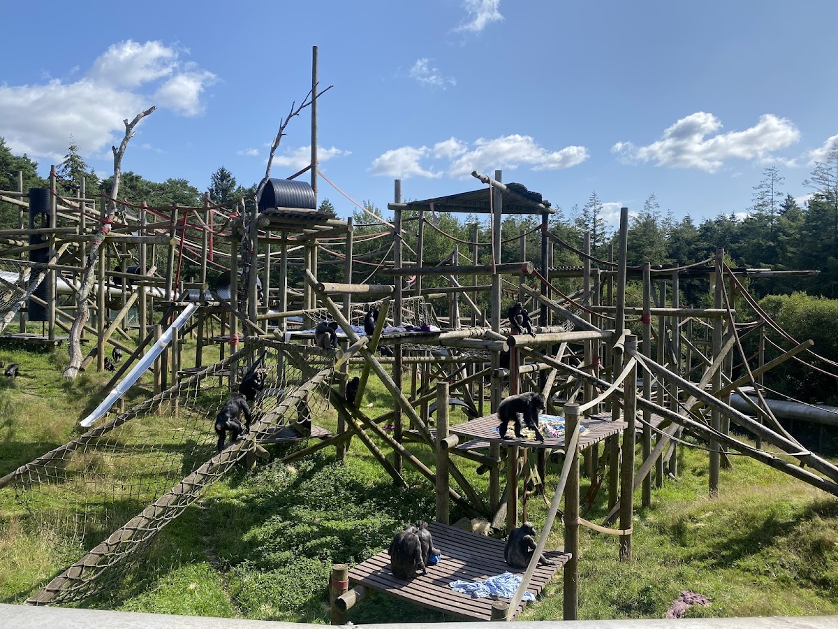 Monkey World