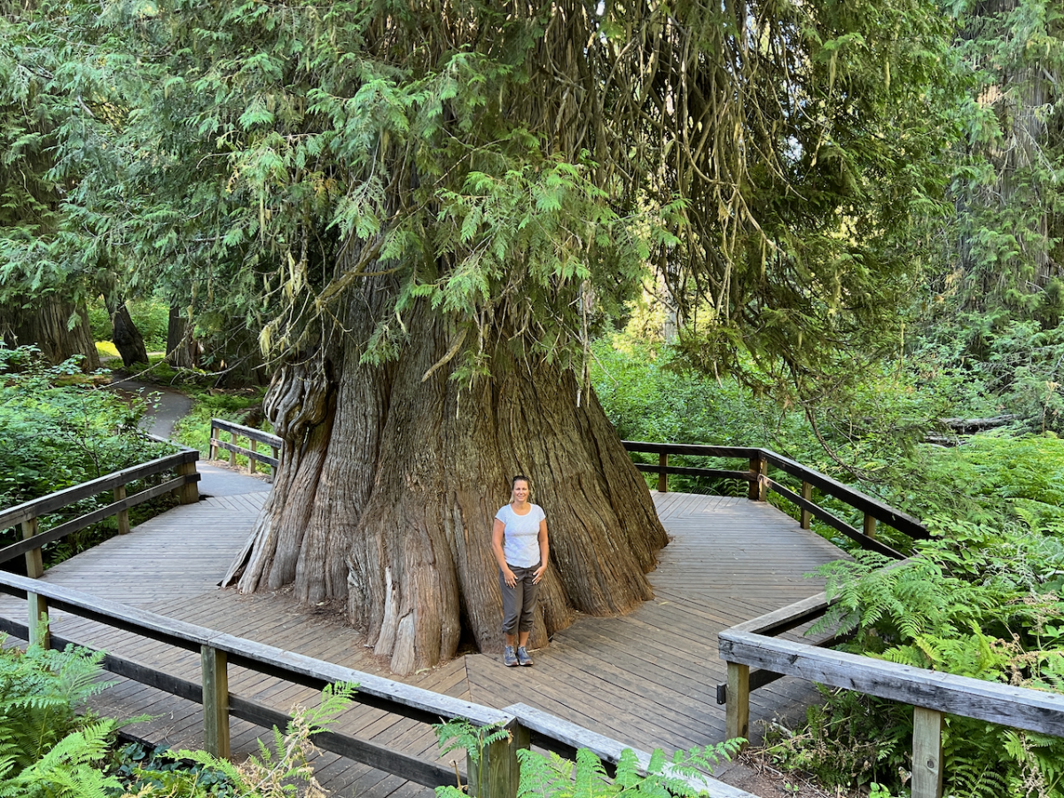Giant Cedar Grove Trailhead