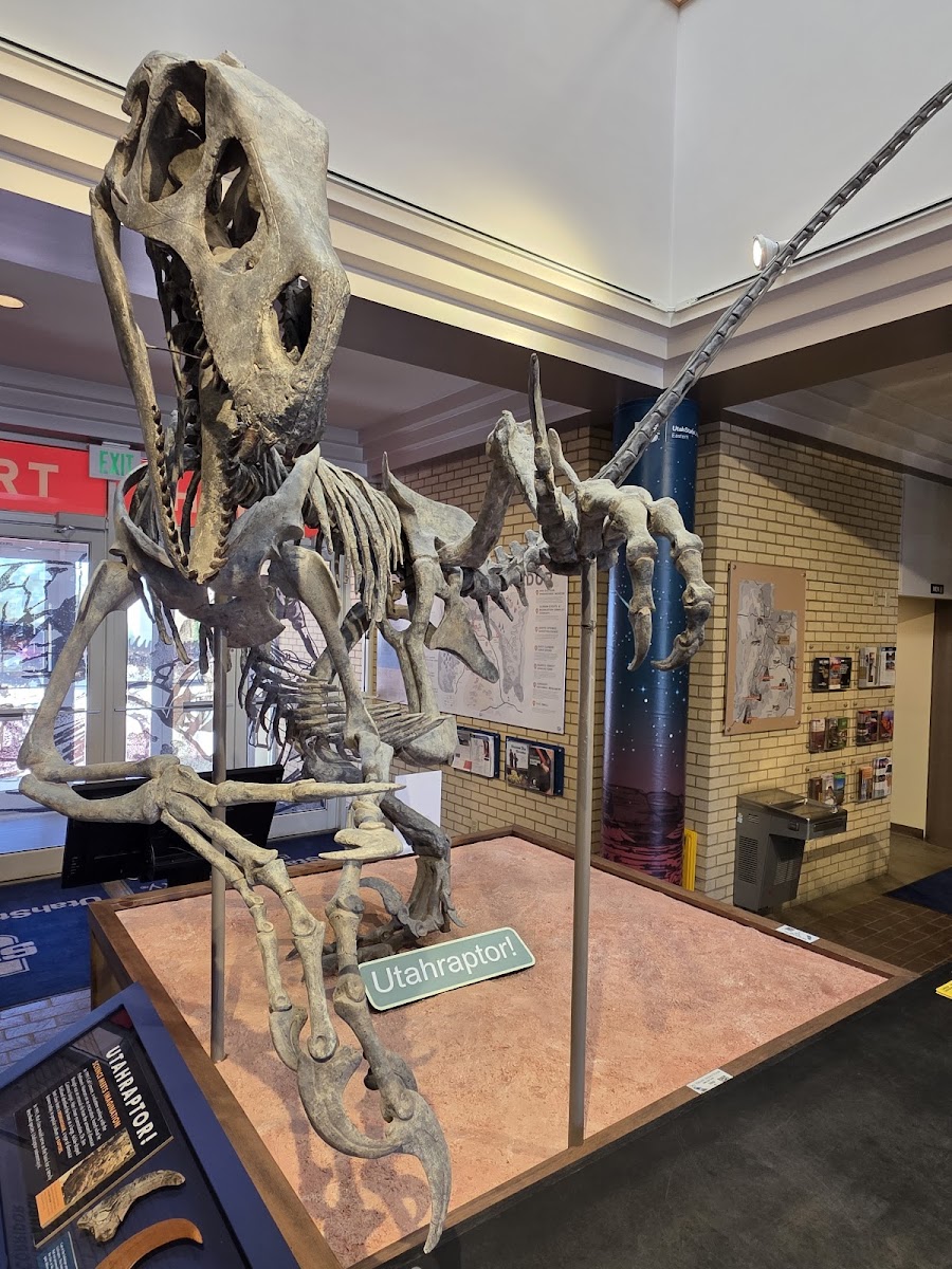 Prehistoric Museum, Utah State University Eastern