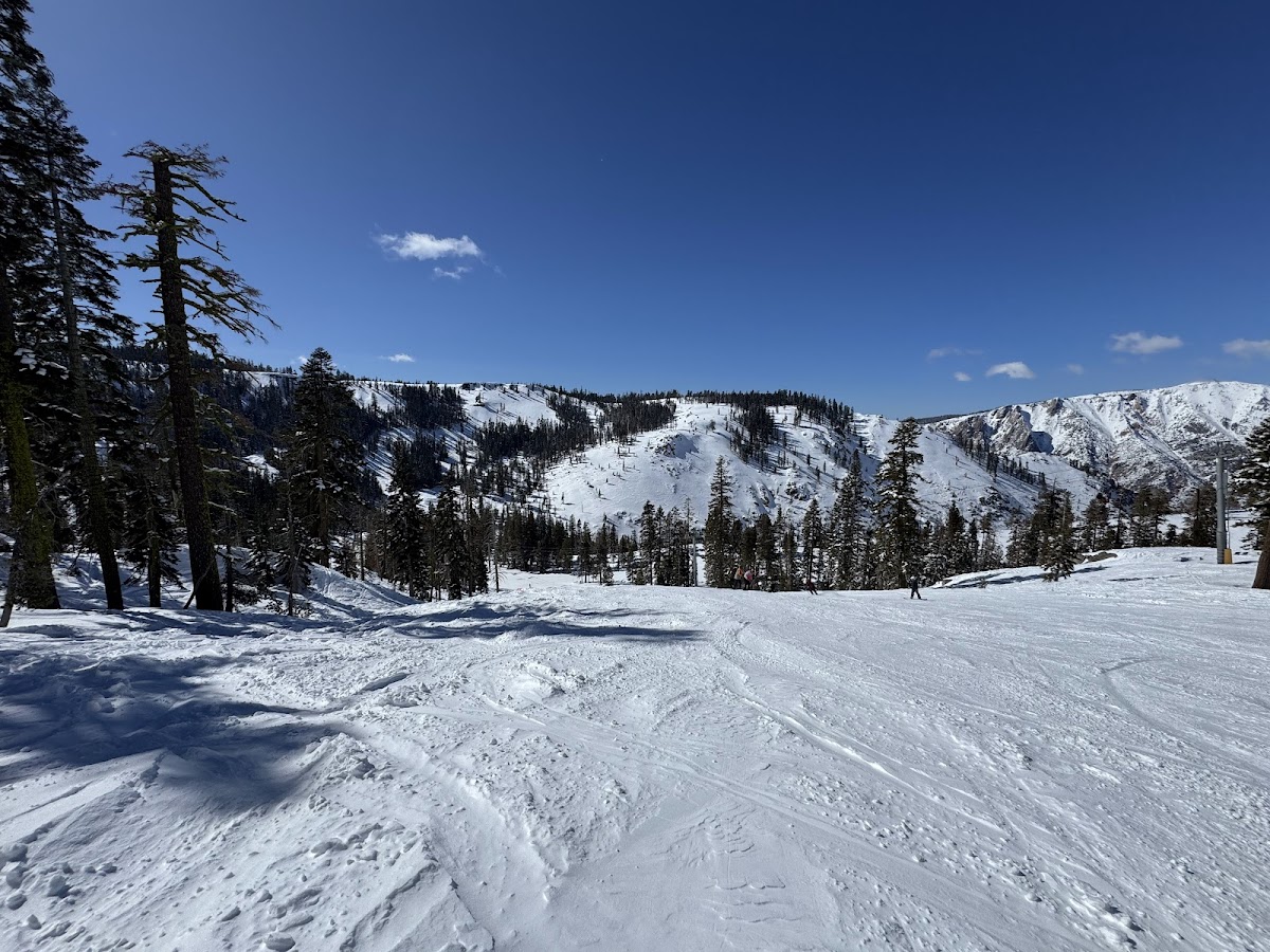 Bear Valley Mountain Resort