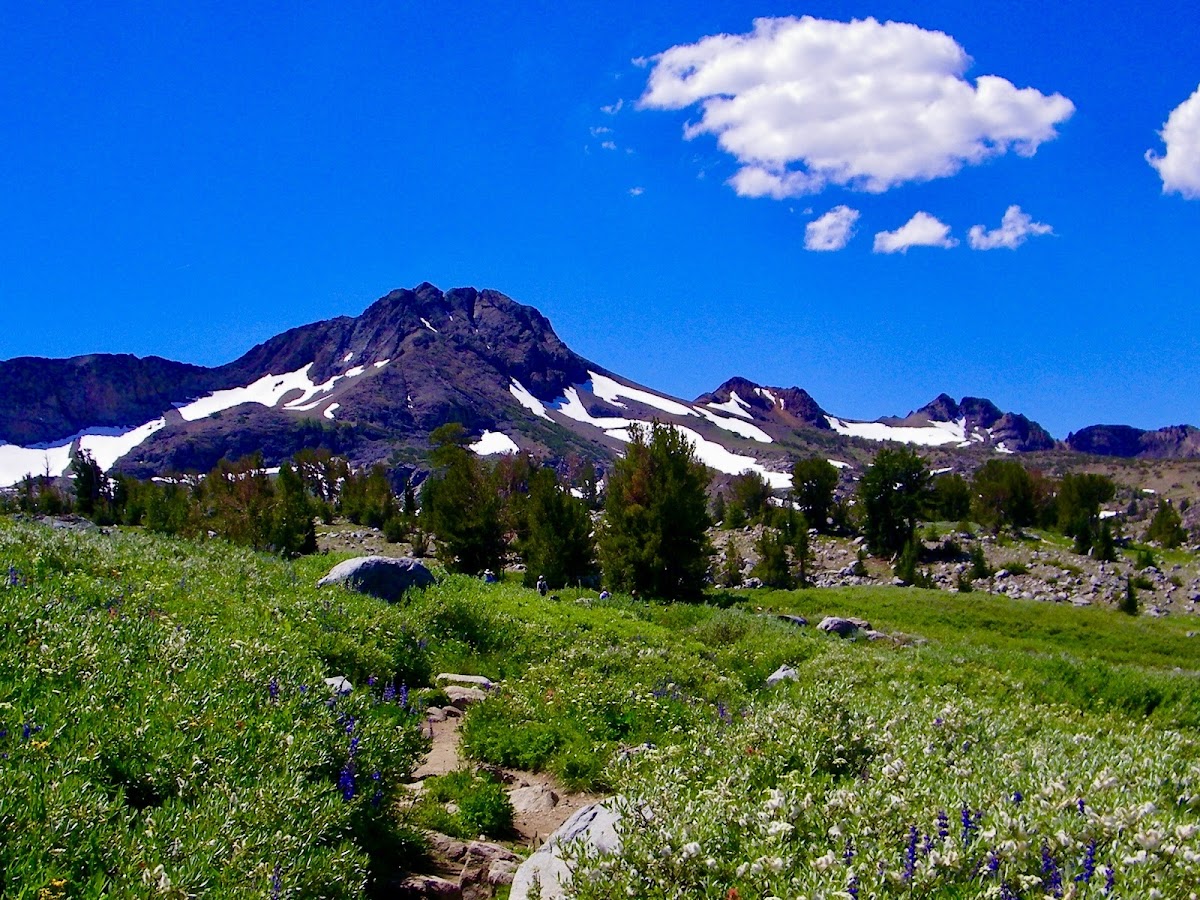 Mokelumne Wilderness