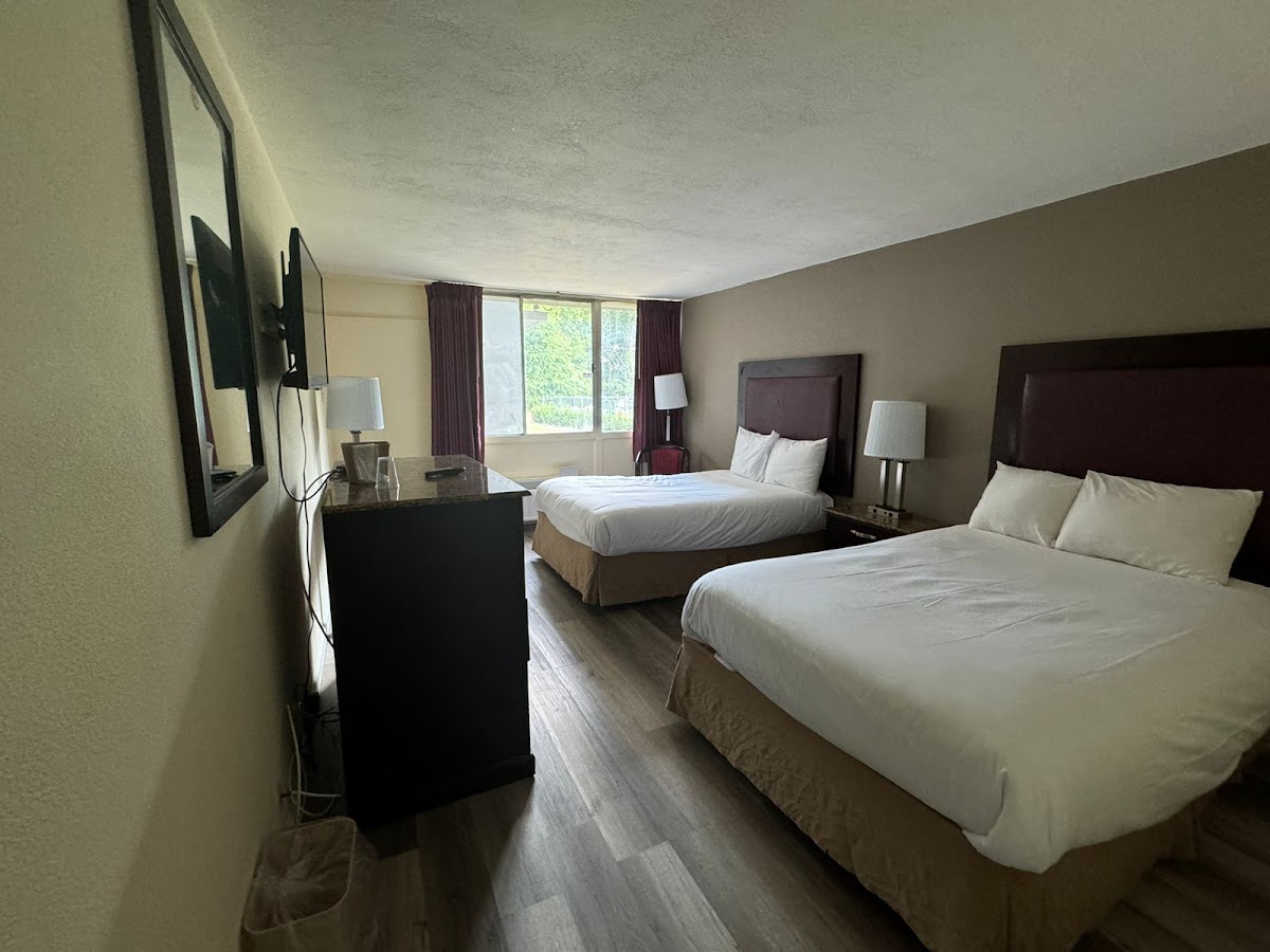 Town Inn photo 2