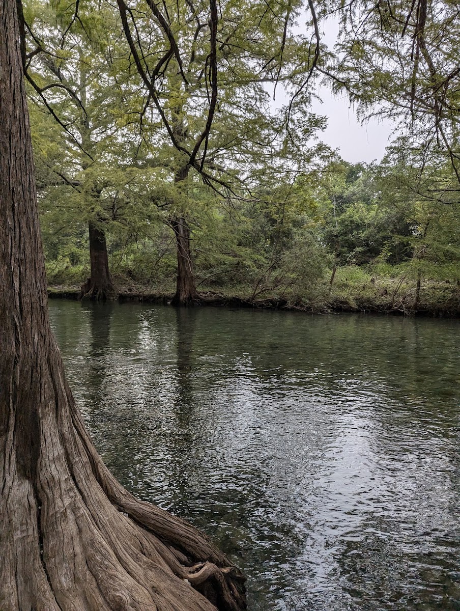 Ejido El Roble
