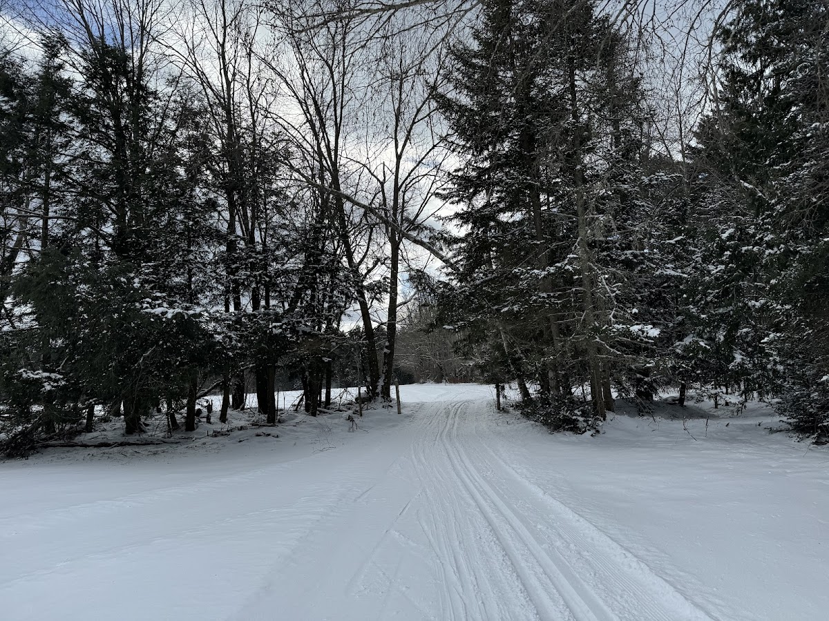 Ole's Cross Country Ski Center