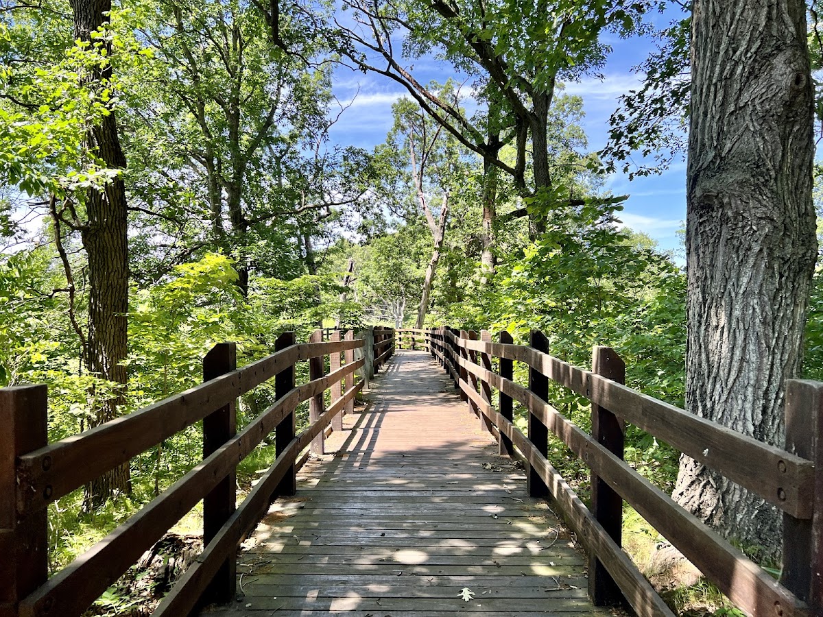 Pisgah Marsh Boardwalk