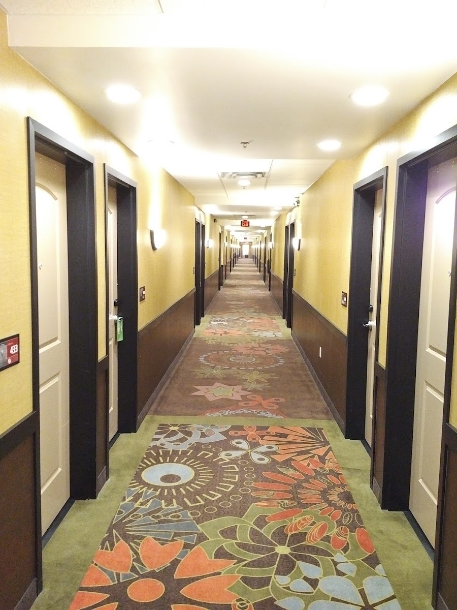 Hampton Inn & Suites Toledo/Westgate photo 3
